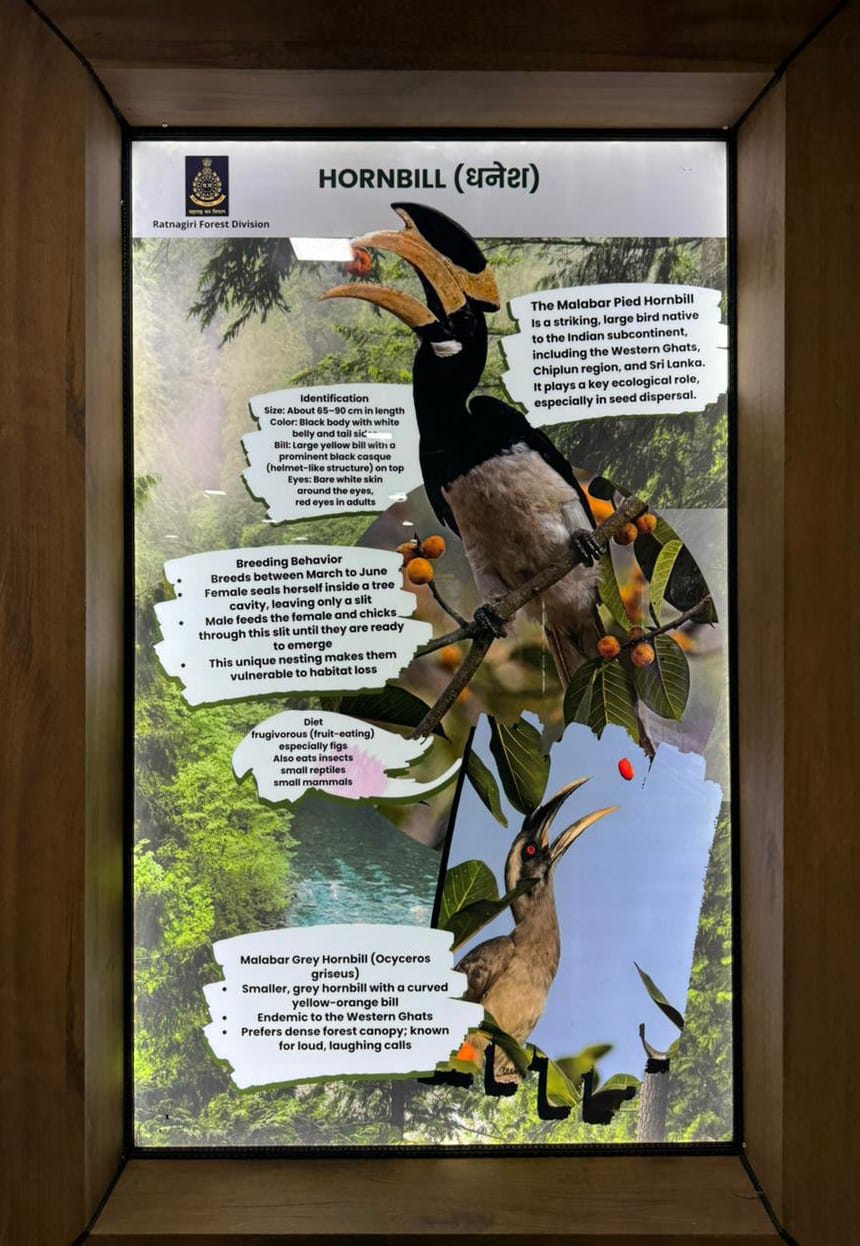 Nature Interpretation Center