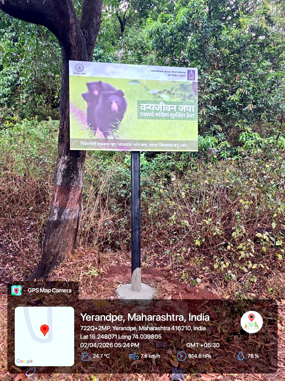Signage Board